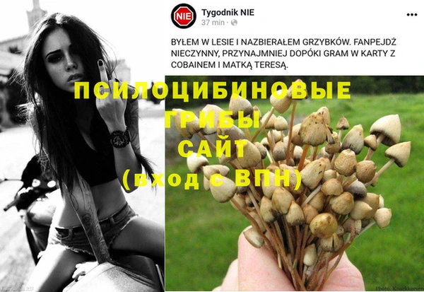 mdpv Медвежьегорск
