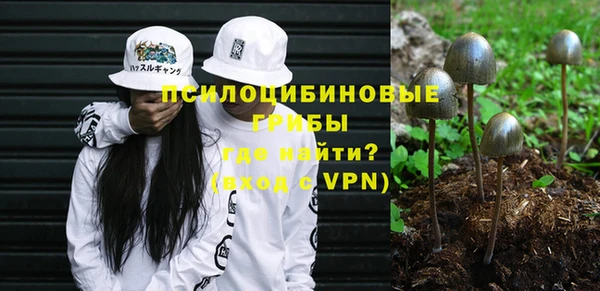 герыч Мегион