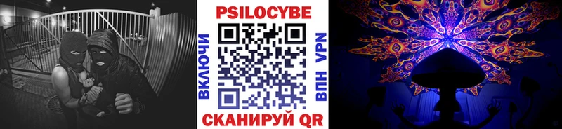 Галлюциногенные грибы Psilocybe Братск