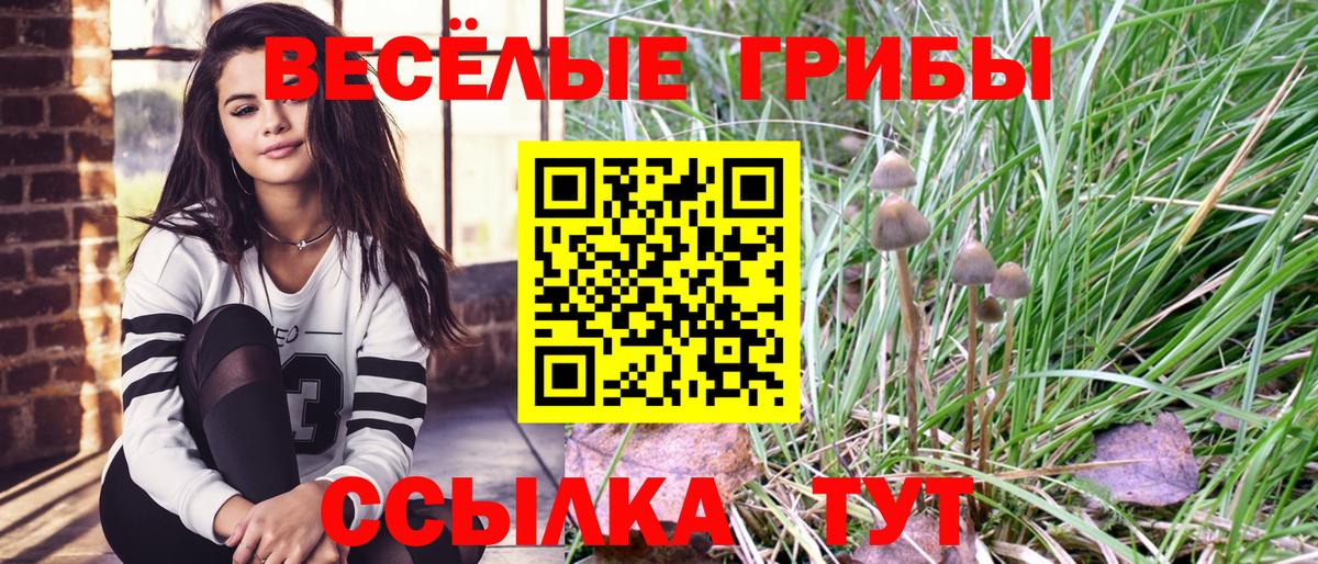 Галлюциногенные грибы GOLDEN TEACHER Братск